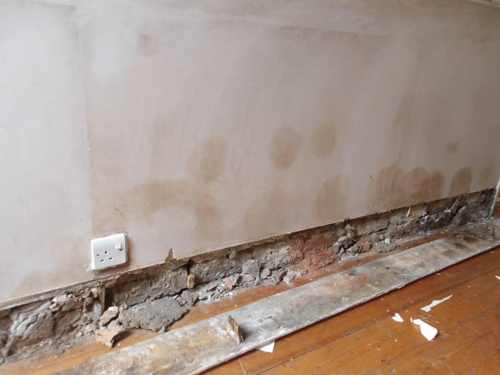 damp on wall