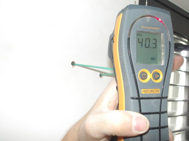 Damp Meter test