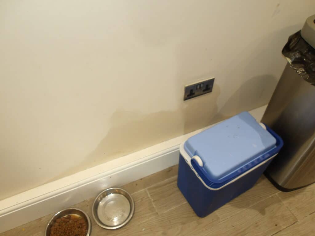 Damp patch on kitchen wall