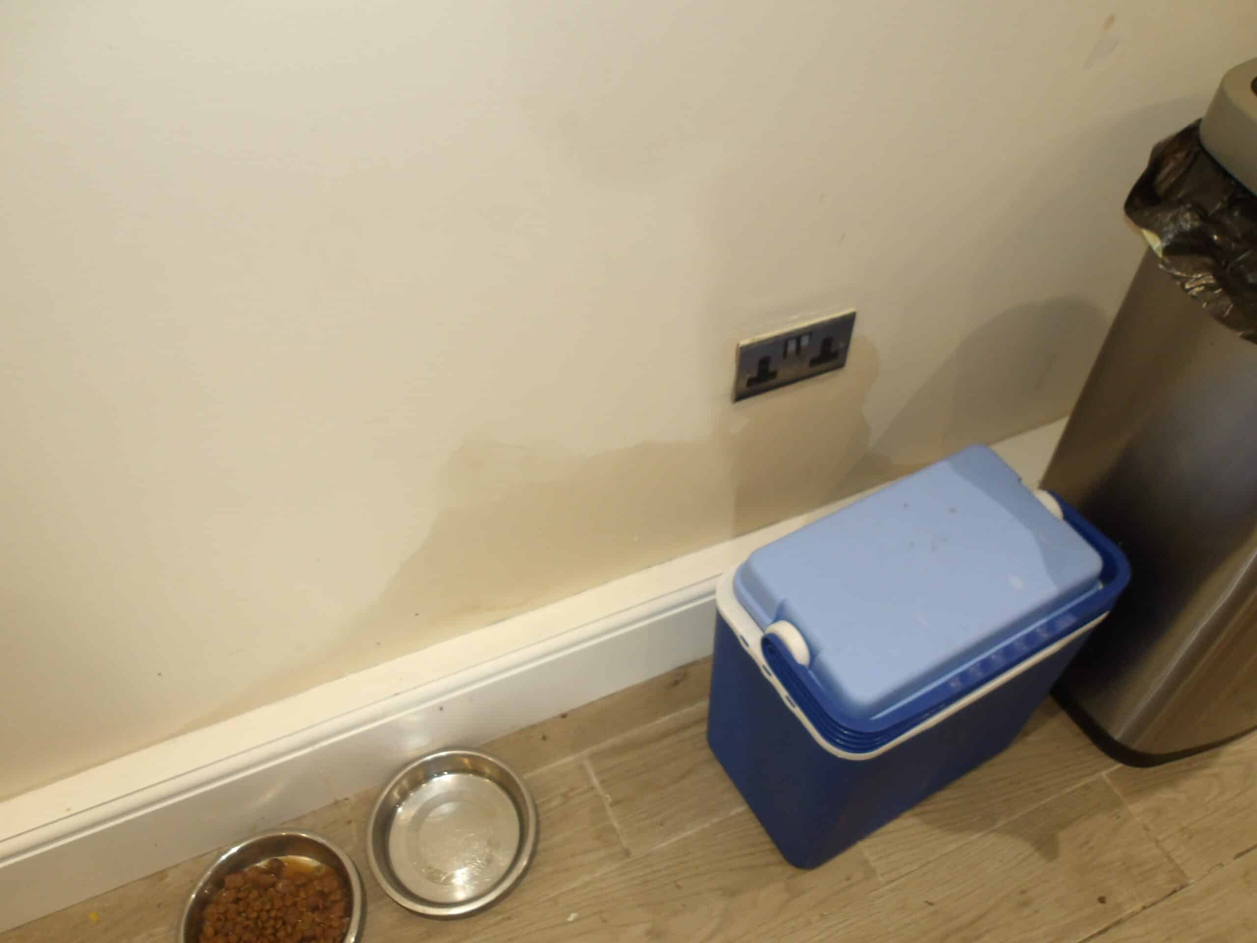 Damp patch on kitchen wall