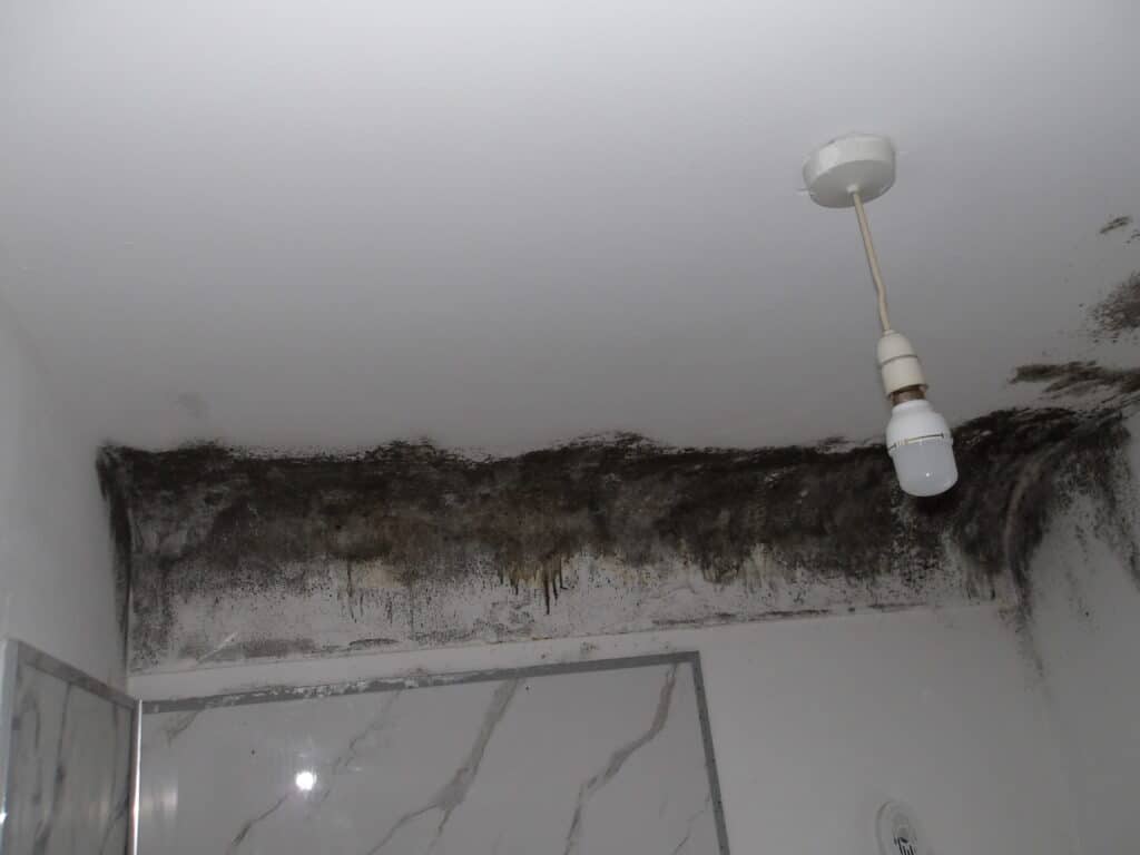 ceiling mould