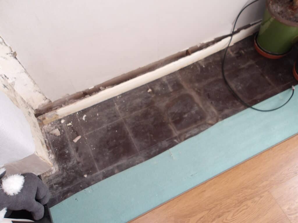 damp and timber survey in runcorn, halton