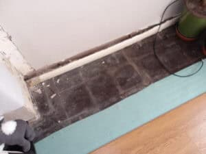 damp and timber survey in runcorn, halton