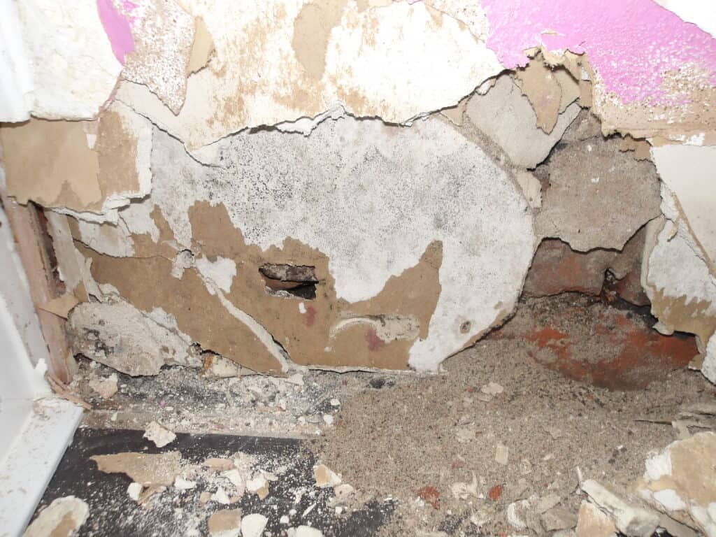 damp wall with peeling paint and exposed plaster.