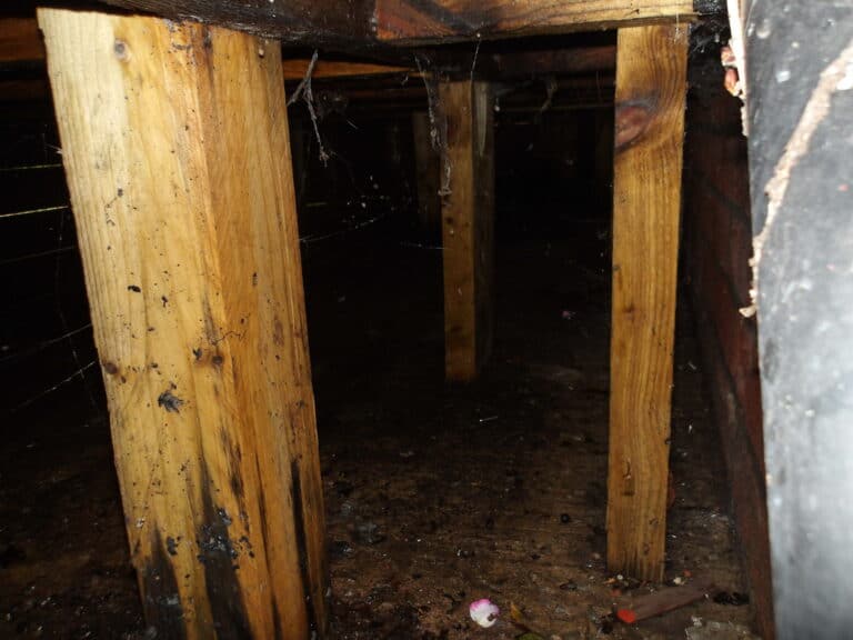 Wooden support beams in a crawl space, highlighting potential damp issues related to decking.