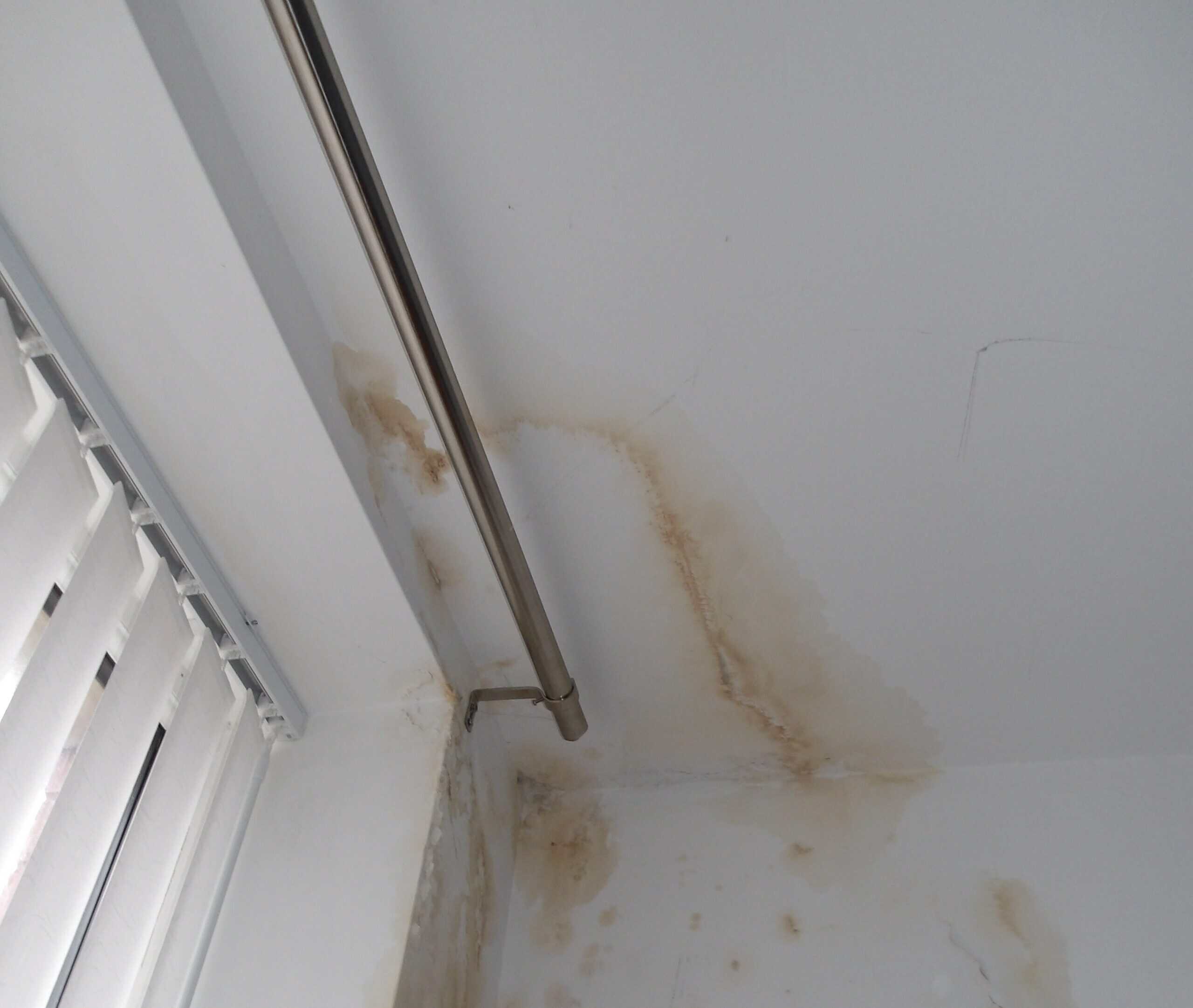 Damp Patch on Ceiling: Causes, Signs & How to Fix It