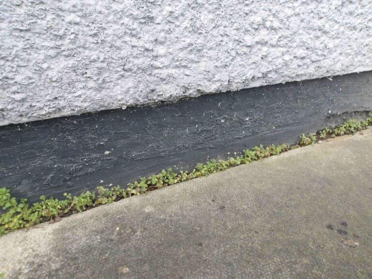 render covering a damp proof course to cause a bridging of the DPC