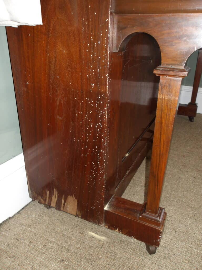 Close-up of woodworm holes and damage on a wooden furniture piece.